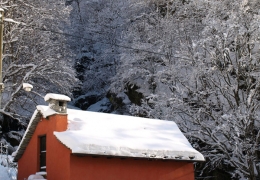 Frasco die Mühle - Winter